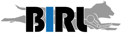Bio-Inspired Robotics Laboratory